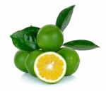 Citrus Sinensis Isolated On The White Background Stock Photo