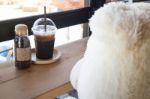 Waiting Bear Doll Sit In The Coffee Shop Stock Photo