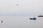 Blue Boat Slipping Out Of Santa Barbara Harbour Stock Photo