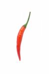 Red Chili On White Background Stock Photo