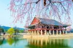 Gyeongbokgung Palace With Cherry Blossom In Spring,korea Stock Photo