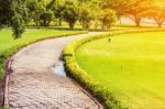 Walkway In The Park Stock Photo