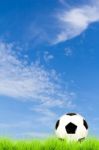 Soccer Ball On Green Grass With Blue Sky Background Stock Photo