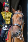 London - July 30 : Kings Troop Royal Horse Artillery In Whitehal Stock Photo