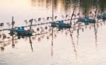 Shrimp Farm With Paddle Wheel Aerator Stock Photo