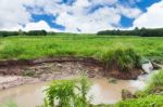 Weir In The Cultivated Area Stock Photo