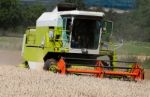 Combine Harvesting Corn Stock Photo