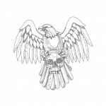 American Eagle Clutching Skull Doodle Stock Photo