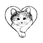 Little Cat Hand Drawn Stock Photo