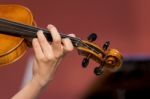 Boy Plays Violin Stock Photo