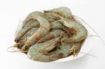 Prawn Stock Photo