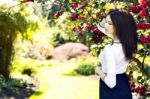 Young Beautiful Woman With Long Straight Dark Hair Posing In Spr Stock Photo