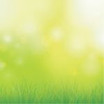 Green Grass Stock Photo