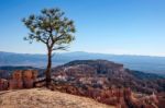 Scenic View Of Bryce Canyon Southern Utah Usa Stock Photo