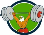 Bald Eagle Weightlifter Lifting Barbell Circle Cartoon Stock Photo