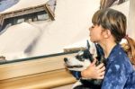 Little Girl With The Husky Dog Looking Through The Window Stock Photo