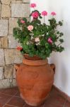 Flowers Inside The Church Of St. John The Baptist In Cannigione Stock Photo