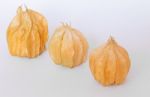 Cape Gooseberry Stock Photo