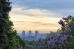 Sunrise In Kiev Botanical Garden Stock Photo