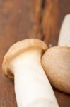 Fresh Wild Mushrooms Stock Photo