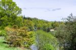 Winkworth Arboretum Stock Photo