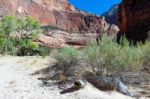 Zion National Park Utah Stock Photo