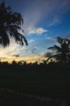 Sunset Behind Silhouettes Of Palm Trees And Buildings Stock Photo