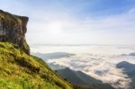 Morning In Phu Chi Fa Forest Park, Thailand Stock Photo