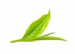 Tea Leaf Isolated On The White Background Stock Photo