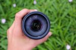 Hand Holding A Camera Lense With Green Plants And Flowers In The Stock Photo