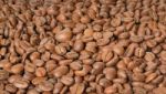 Coffee Beans Background Stock Photo