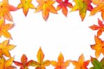 Colorful Fall Leaves Framework On White Stock Photo