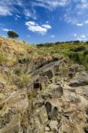 Beautiful Spring View Of A Dry Riverbed Located In Portugal Stock Photo