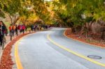 Naejangsan,korea - November 1: Tourists Taking Photos Of The Beautiful Scenery Around Naejangsan Park,south Korea During Autumn Season On November 1, 2015 Stock Photo