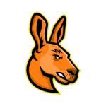 Kangaroo Head Mascot Stock Photo