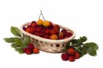 Strawberry Tree (arbutus Unedo) Fruit Stock Photo