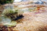 Mammoth Hot Springs In Wyoming Stock Photo