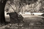 Vintage Chair With Sepia Stock Photo