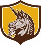 Unicorn Horse Head Side Crest Retro Stock Photo