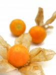 Fresh Cape Goosebery, Physalis, On White Background Stock Photo