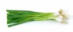 Green Onion Isolated On The White Background Stock Photo