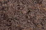 Soil Background Stock Photo