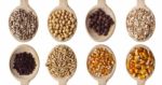 Seeds On Wooden Spoon Stock Photo