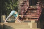 Portrait Of   Woman Playing Yoga At Home Garden Stock Photo