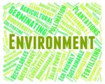 Environment Word Shows Earth Friendly And Eco-friendly Stock Photo