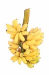 Banana Bunch Stock Photo