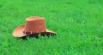 Brown Stetson On Green Grass Stock Photo