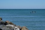 Cabo Pino, Andalucia/spain - July 2 : People Paddle Boarding At Stock Photo