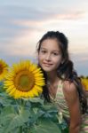 Girl And Sunflower Stock Photo