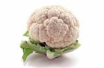 Cauliflower Stock Photo